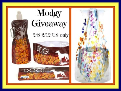 Modgy Giveaway
