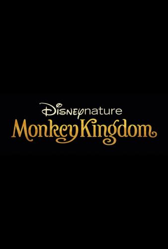 Disneynature monkey kingdom
