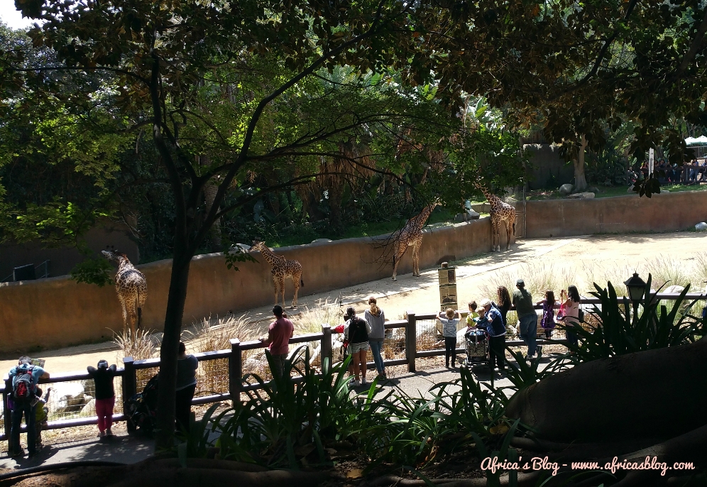 View at Lunch at LA Zoo