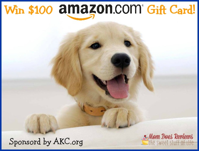 $100 Amazon Gift Card Giveaway Sponsored by AKC