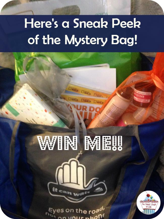 Mystery Swag Bag Giveaway