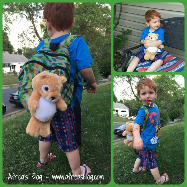 PetSac Lion Backpack Product Review