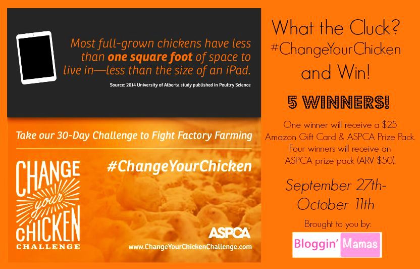Change your chicken prize package giveaway 