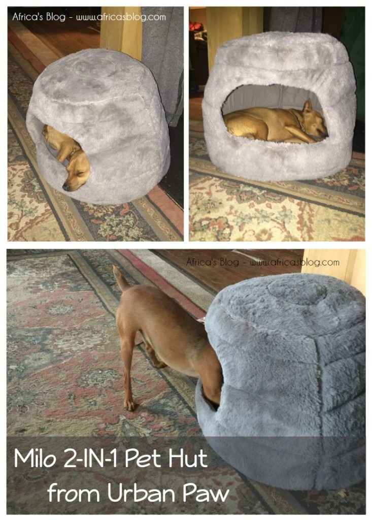 Urban Paw - Pet Products that Care! Dog Bed Review!!