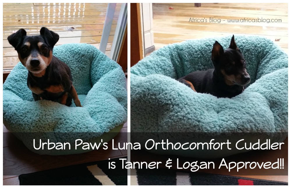 Luna Orthocomfort Cuddler by Urban Paw