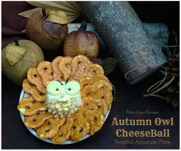 Owl Cheese Ball Recipe #12Daysof Thanksgiving