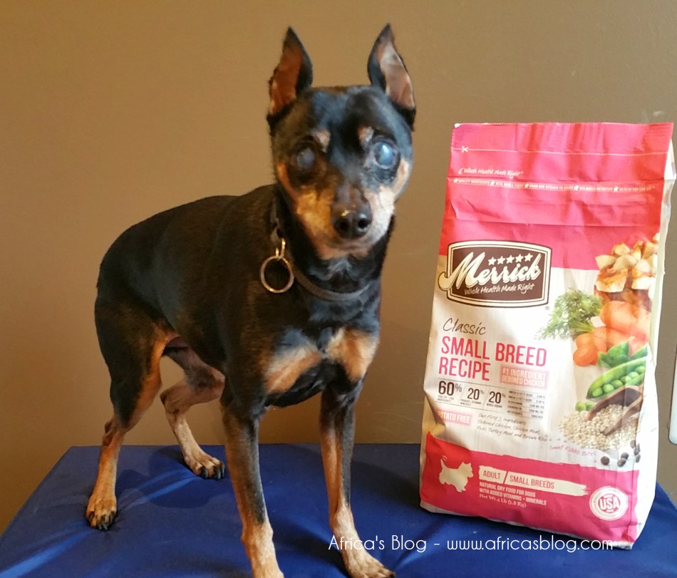 Merrick Classic Dog Food - refreshed and ideal for your #BestDogEver
