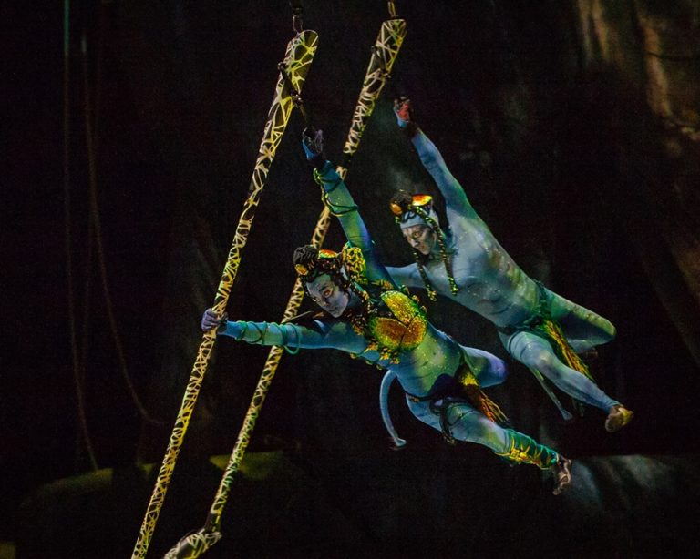 Cirque du Soleil Toruk The First Flight in MPLS Ticket GIVEAWAY!!