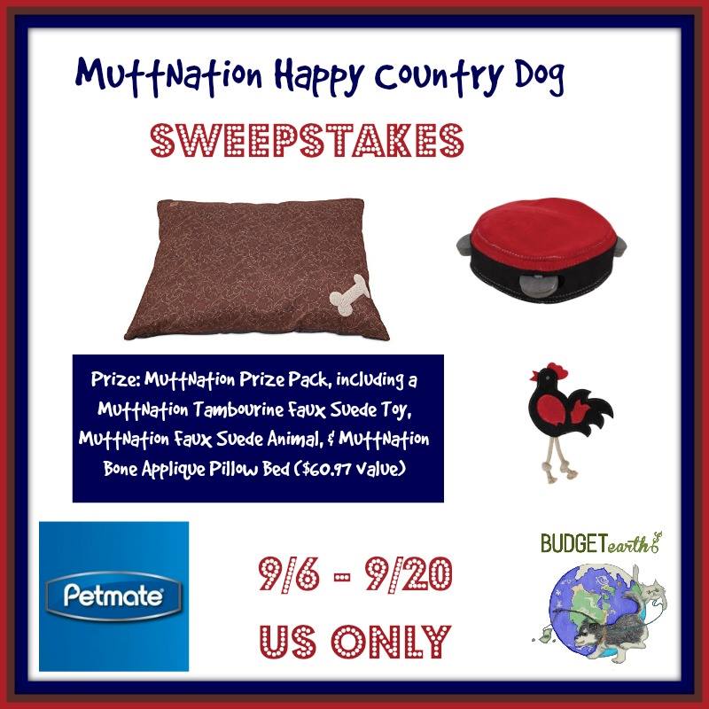 MuttNation Dog Prize Package Giveaway!! 