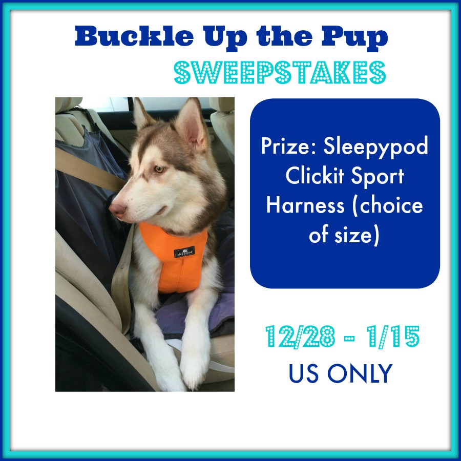 Sleepypod Clickit Buckle Up the Pup Giveaway!! (ends 1/15)
