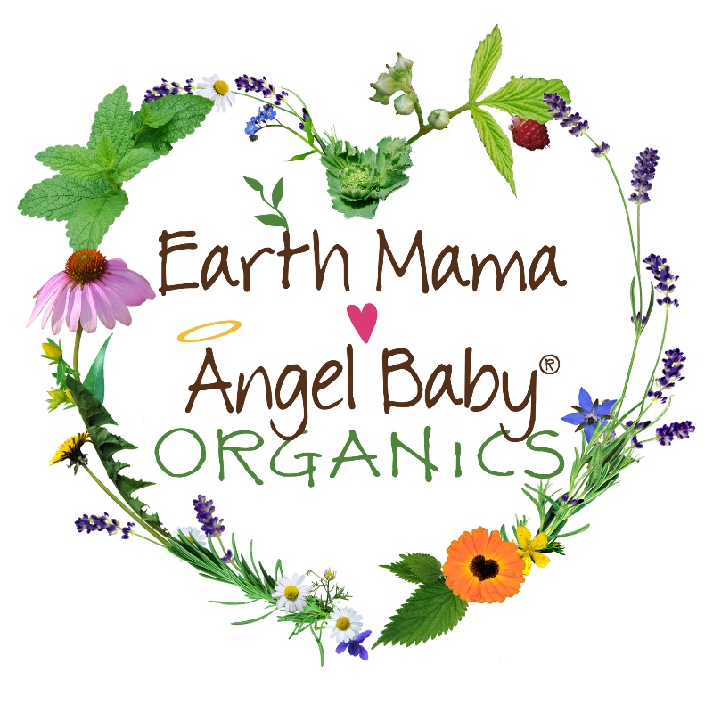 Earth Mama Angel Baby's Milk-To-Go Pumping Companion Essentials - for the nursing mom in your life!!