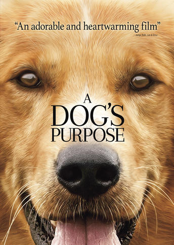 A Dog's Purpose Digital Download Available TODAY & WIN Blu-Ray/DVD! #Giveaway! (ends 