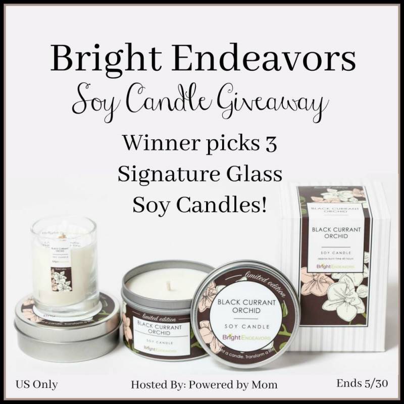 Bright Endeavors Soy Candle Giveaway - Win 3 Candles!! (ends 5/30)