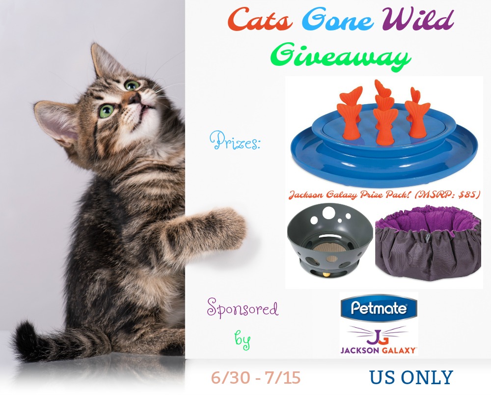 Jackson Galaxy - CATS Gone Wild Prize Package Giveaway!! (end 7/15)