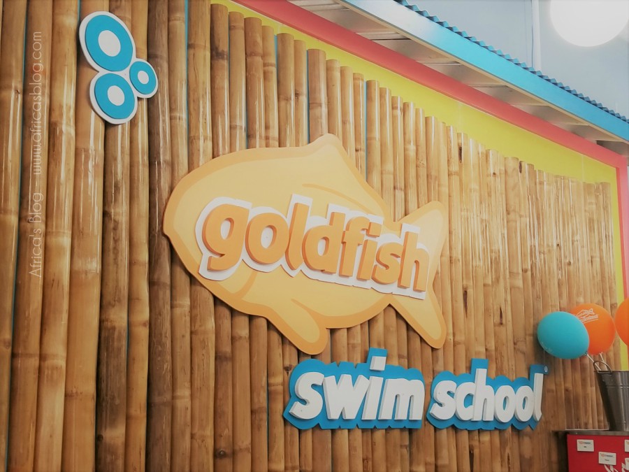 Goldfish Swim School – NOT your average swimming lessons