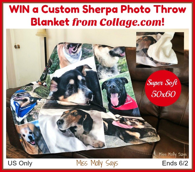 Custom Sherpa Photo Throw Blanket Giveaway - from Collage.com!!  (ends 6/2)