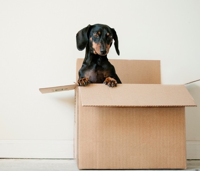 Does Moving Have To Be That Stressful?